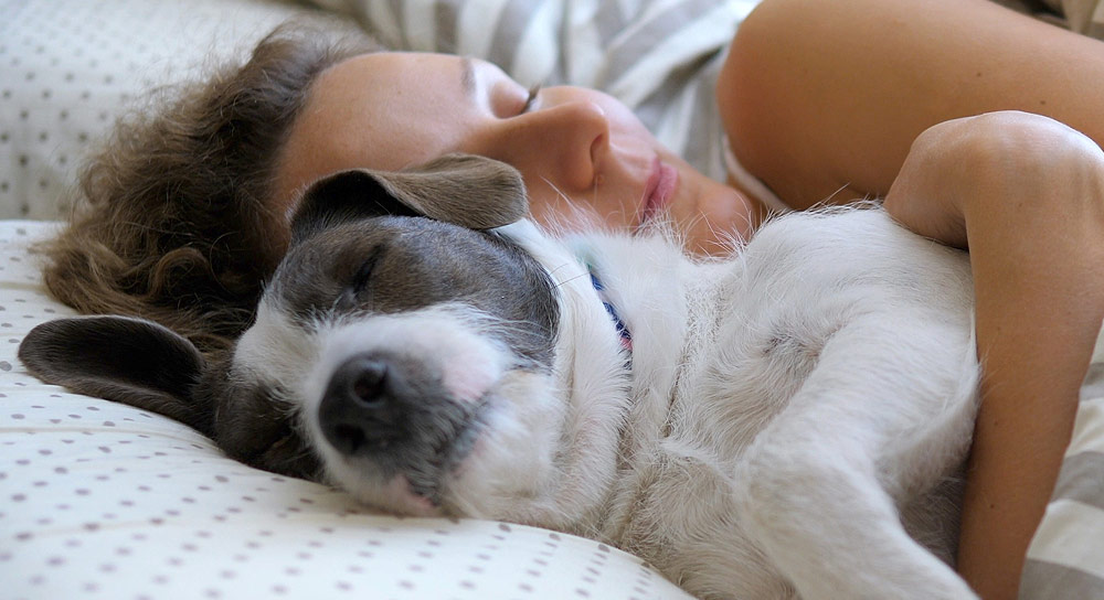 chien endormi avec sa maîtresse : des expressions et des dictons qui nous parlent du sommeil